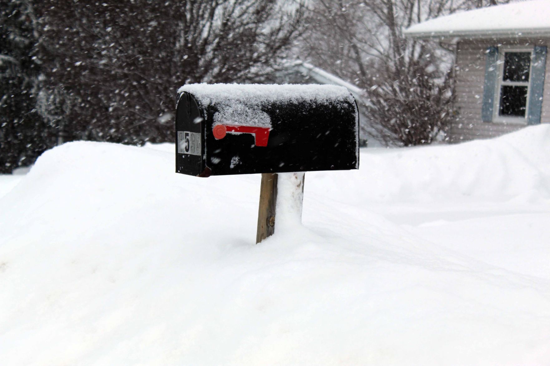 013119-reed-gallery-cold008